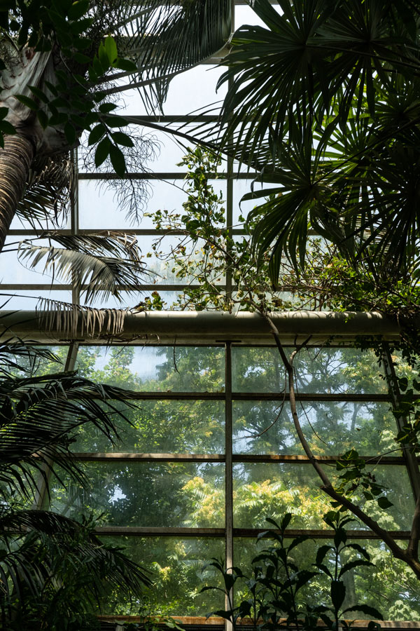 Marta Giaccone - Brooklyn botanical garden 2018 - freelance travel work
