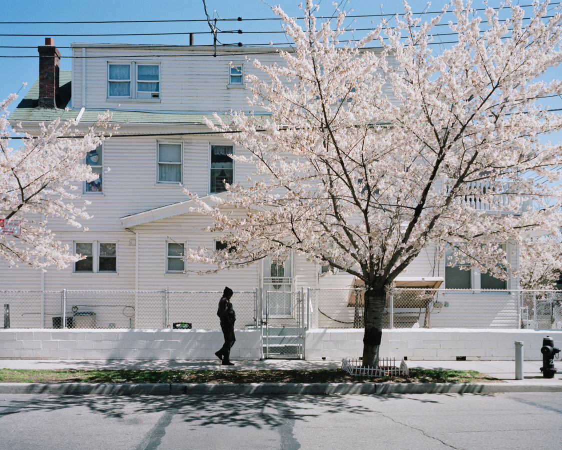 Marta Giaccone, "Systems of Harmony", USA, 2016-18