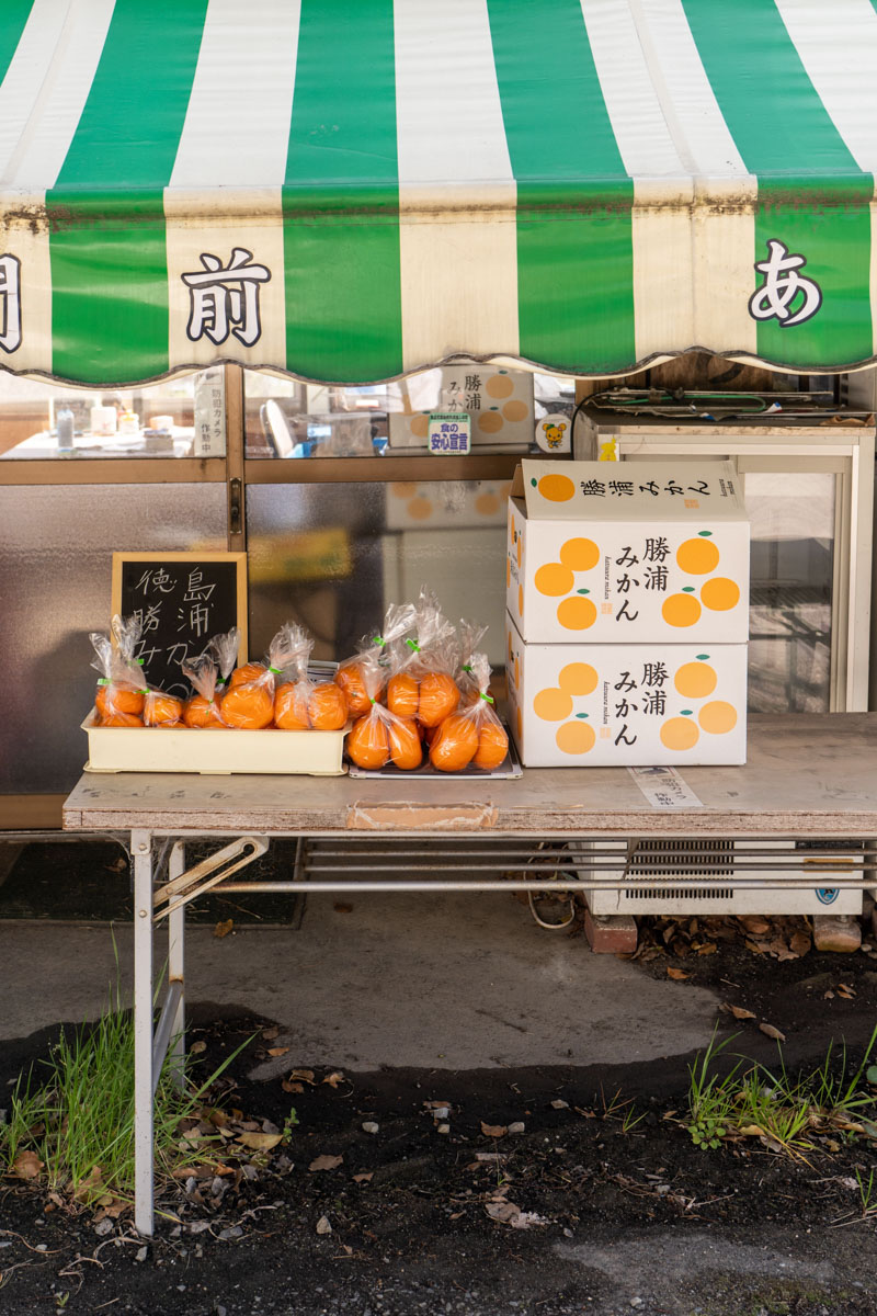 Marta Giaccone, The New York Times, June 2023, Japan Shikoku 88 Temples Pilgrimage