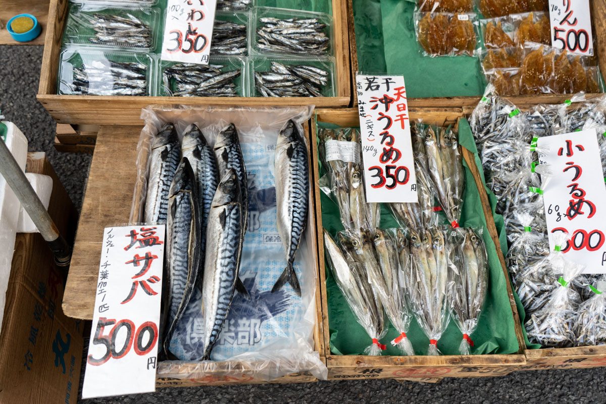 Marta Giaccone, The New York Times, June 2023, Japan Shikoku 88 Temples Pilgrimage