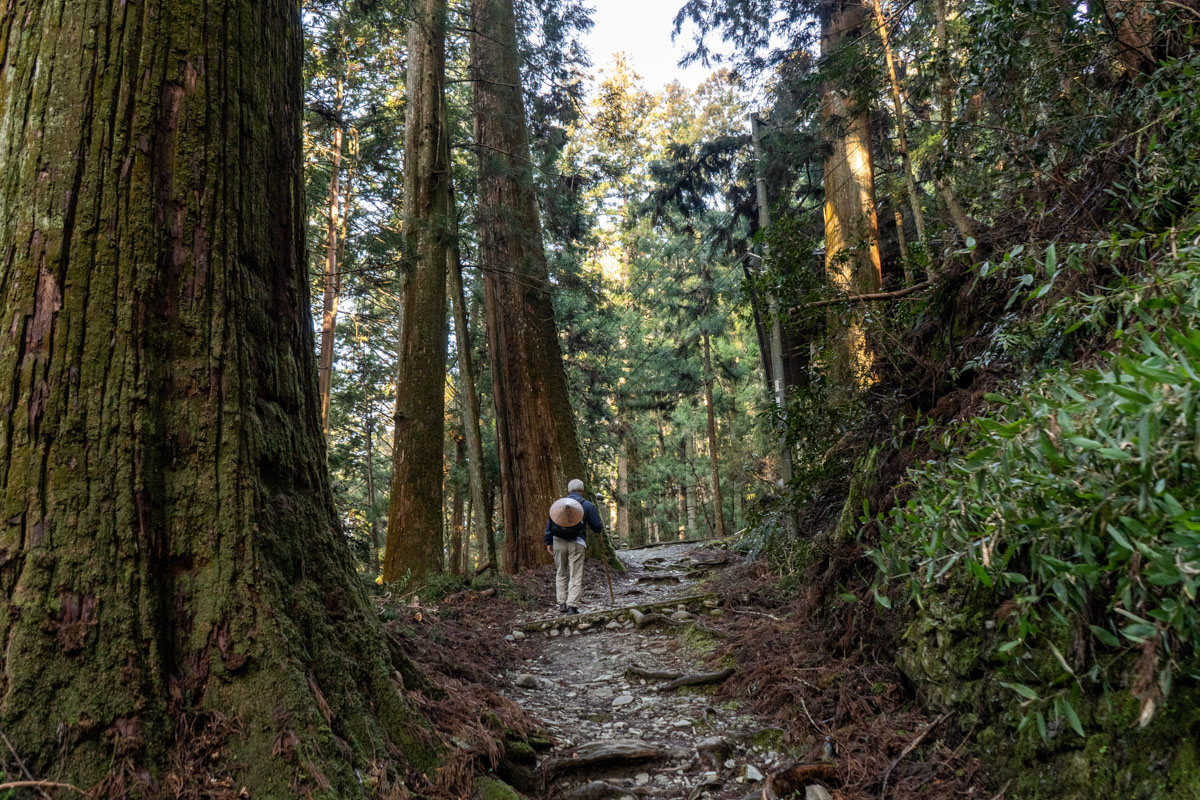 Marta Giaccone, The New York Times, June 2023, Japan Shikoku 88 Temples Pilgrimage